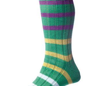 The Bewdley Sock with Graded stripe