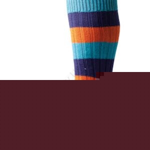 The Henley Sock with Rib Block Stripe by Scott Nichol