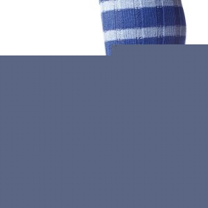 The Bewdley Sock with Graded stripe
