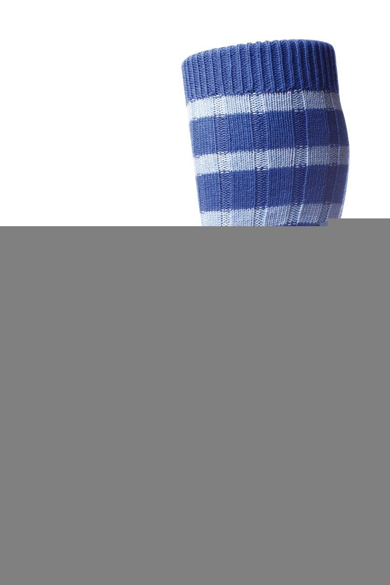 The Bewdley Sock with Graded stripe